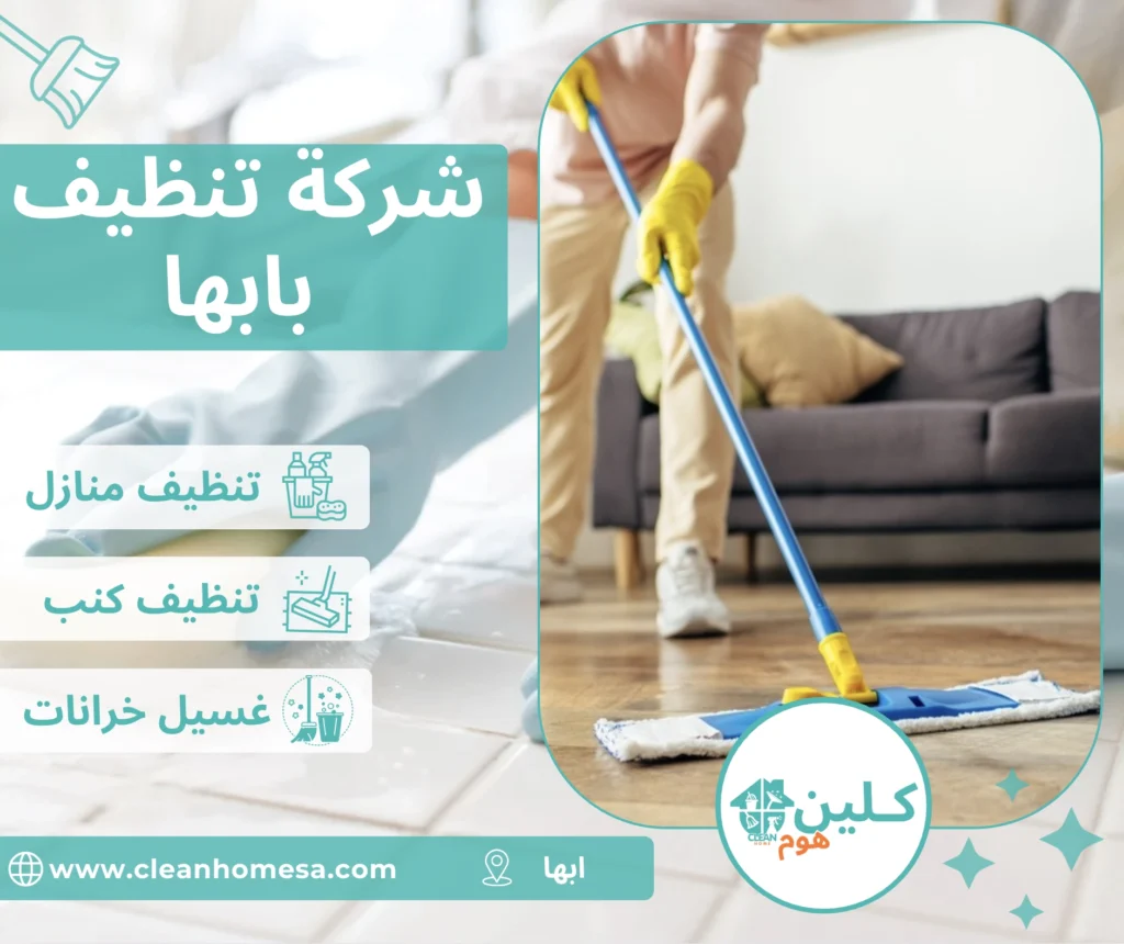 شركة تنظيف بابها